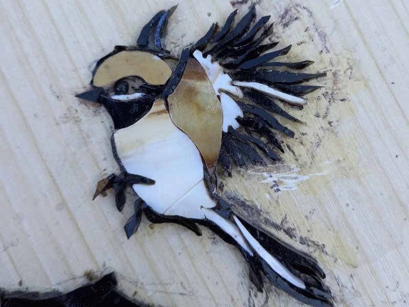 Phases de la révolution des ailes, 11