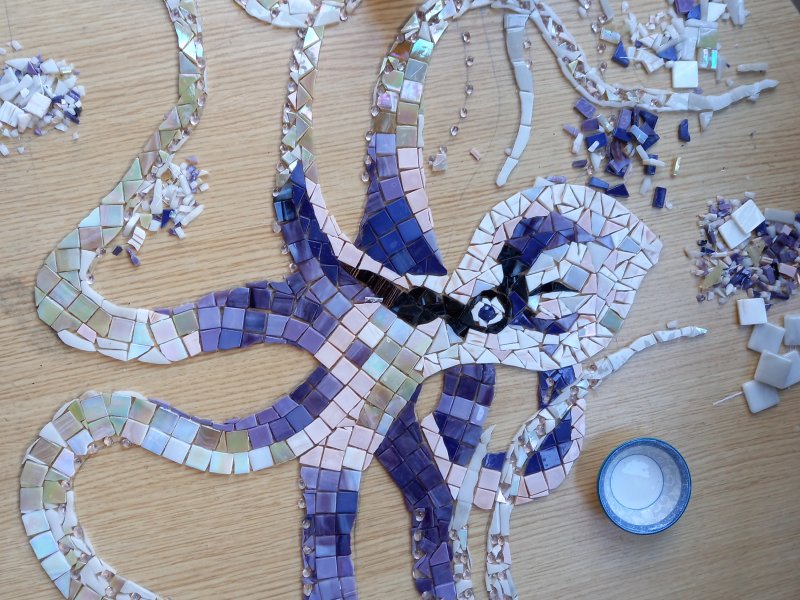 Octopus