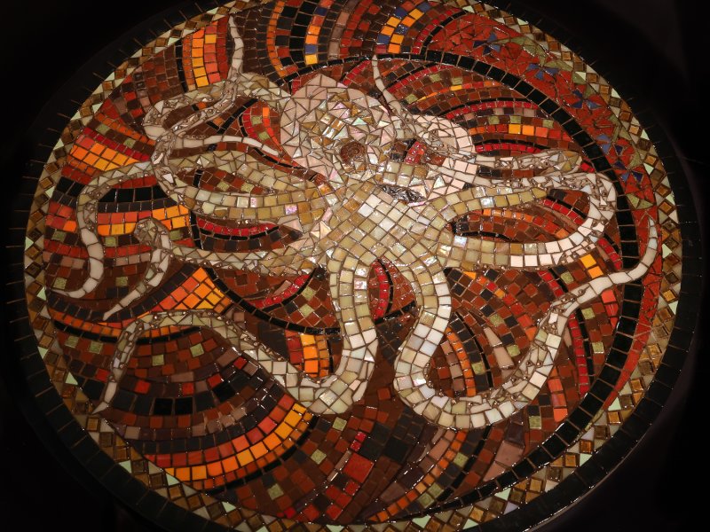 Octopus