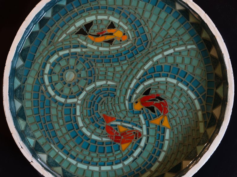 L'étang aux poissons