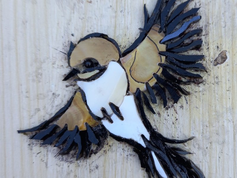 Phases de la révolution des ailes, 10