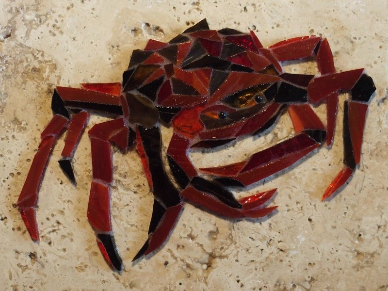 Arthropode marin