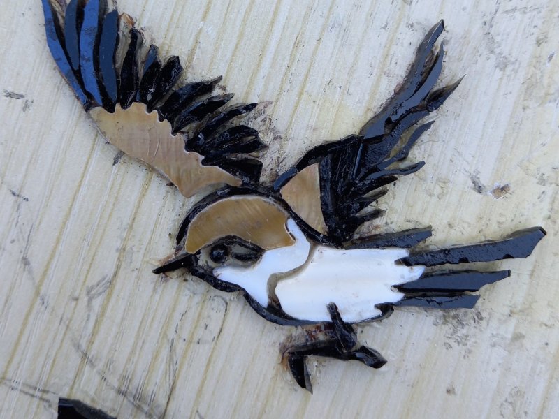 Phases de la révolution des ailes, 3
