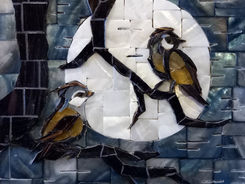 Mésanges au printemps