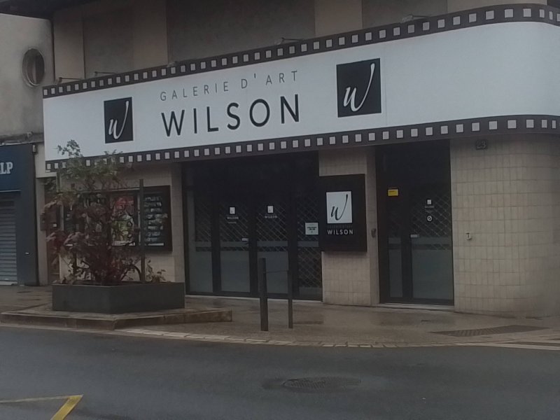 Galerie Wilson, Blois vienne