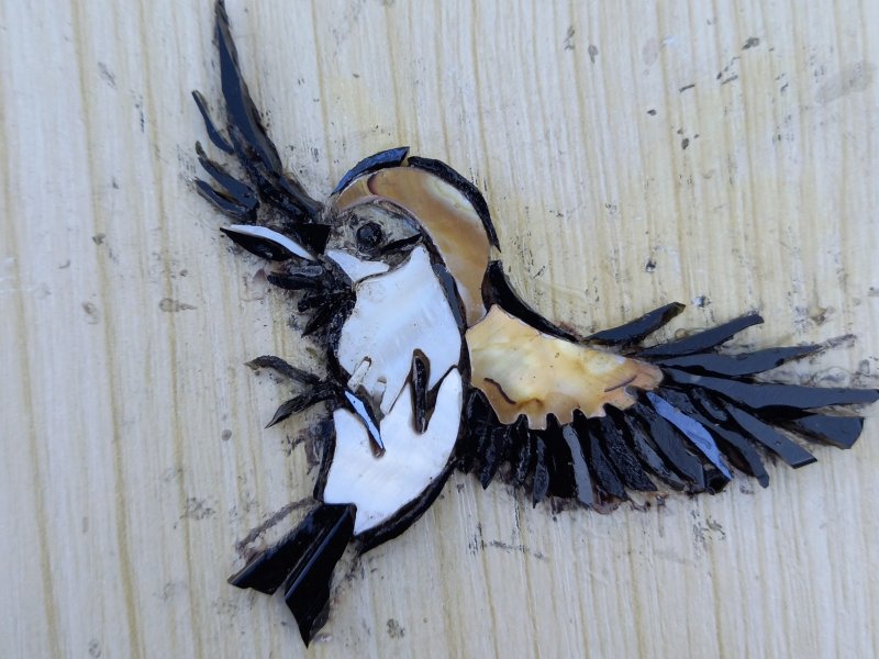 Phases de la révolution des ailes, 5