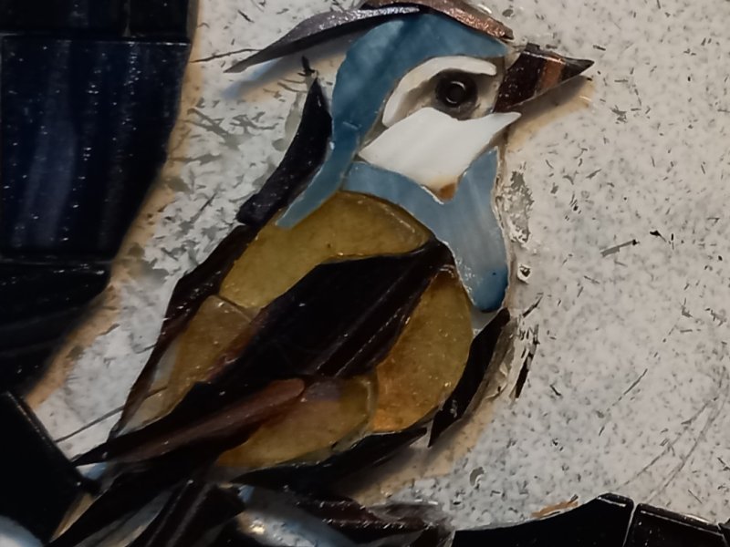 Mésange