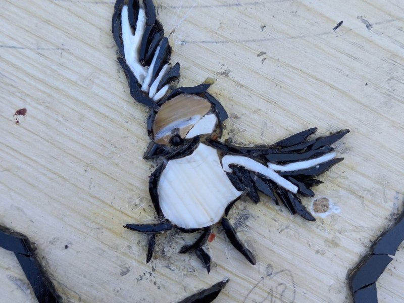 Phases de la révolution des ailes, 12