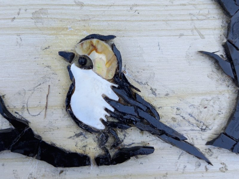 Phases de la révolution des ailes, 1