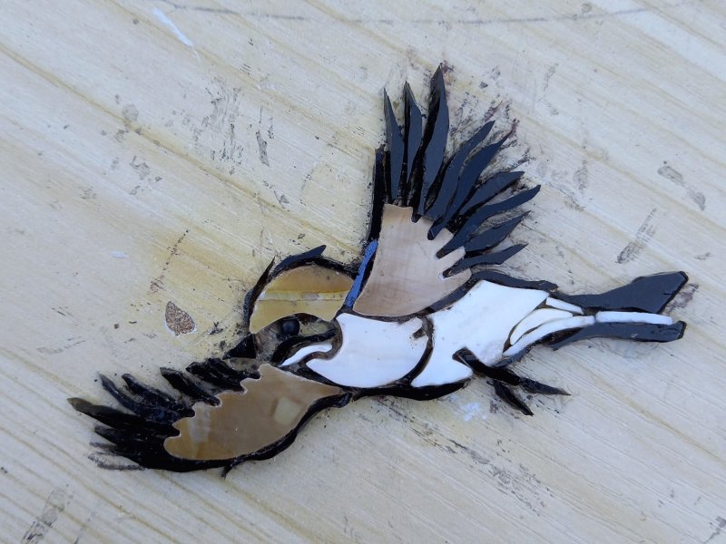 Phases de la révolution des ailes, 6