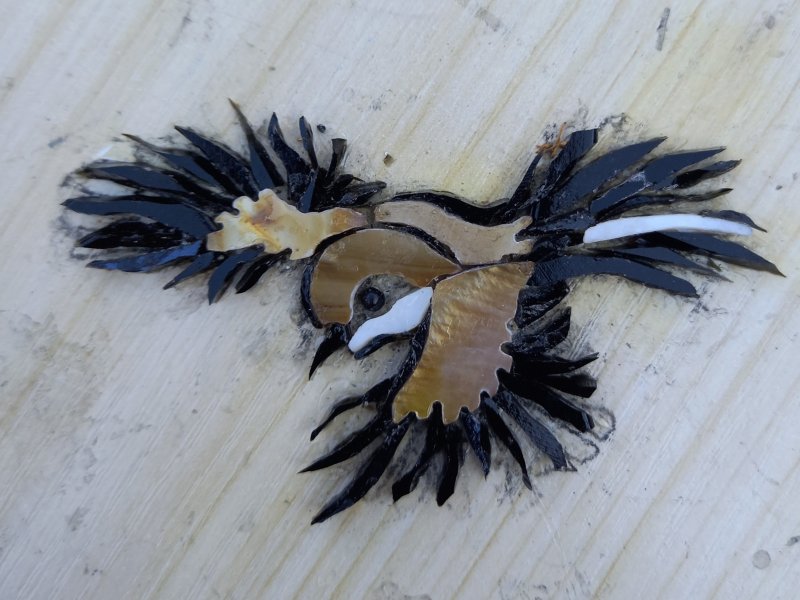 Phases de la révolution des ailes, 9