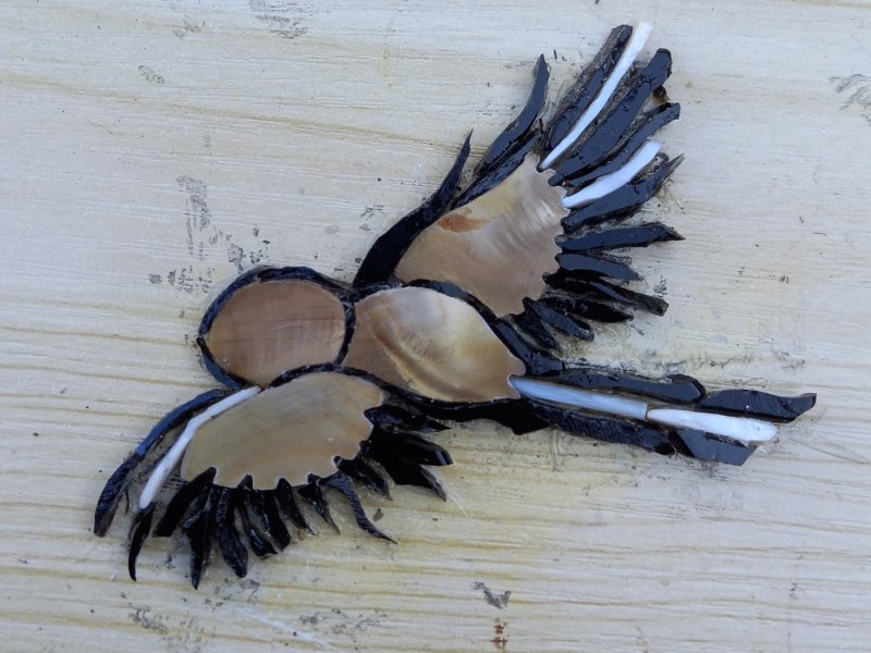 Phases de la révolution des ailes, 7