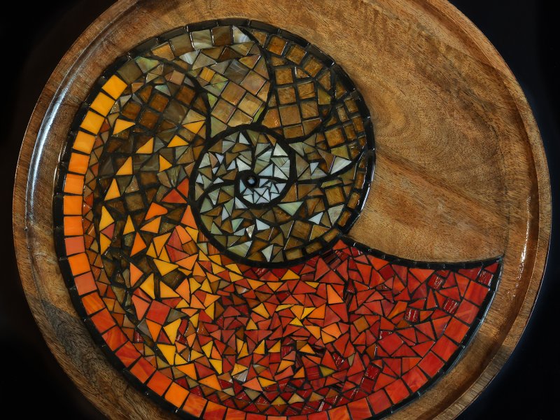 Plateau ammonite